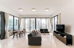 Skyline 360 @ Saint Thomas Walk (D9), Condominium #573560651